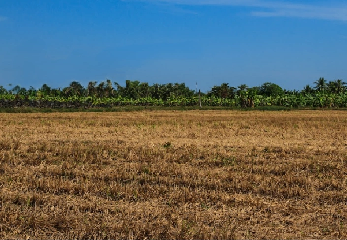 Shahdadeo, Madhya Pradesh 452016, India