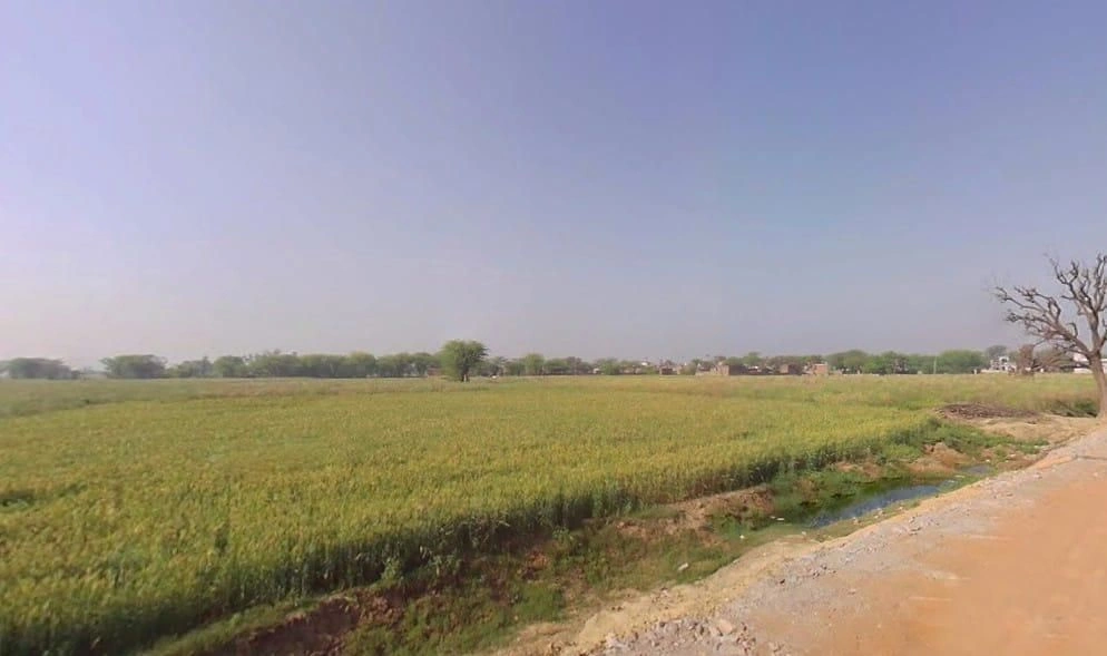 Govind Garh, Rajasthan 301604, India