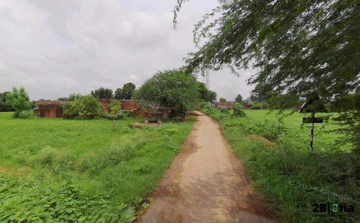 Matehana, Madhya Pradesh 485113, India