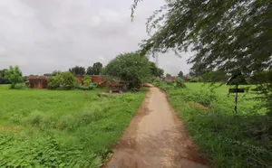 Matehana, Madhya Pradesh 485113, India preview 2
