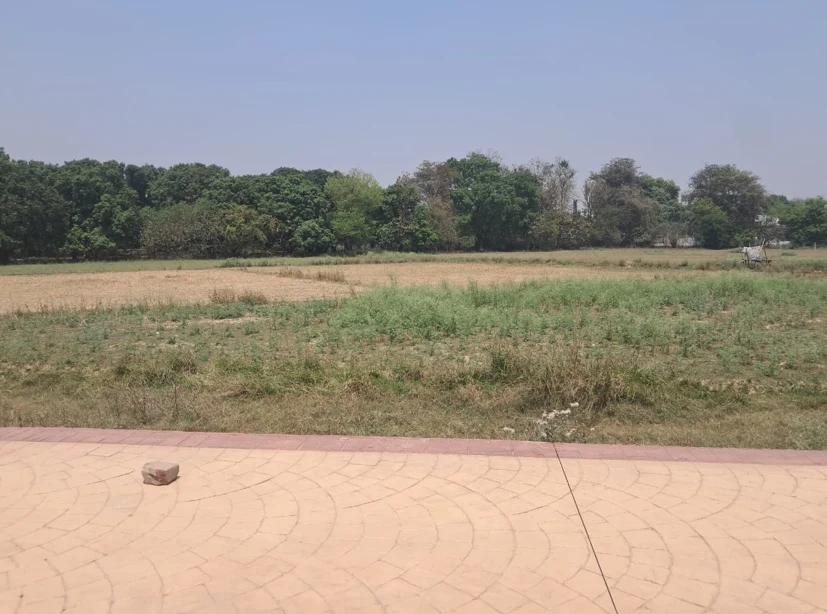 Barnagar, Madhya Pradesh 456771, India preview 3