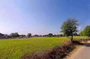 Adarsh Nagar, Jaipur, Rajasthan, India preview 3