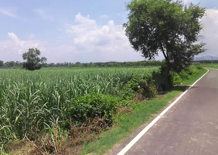 Satpura, Uttar Pradesh 247129, India