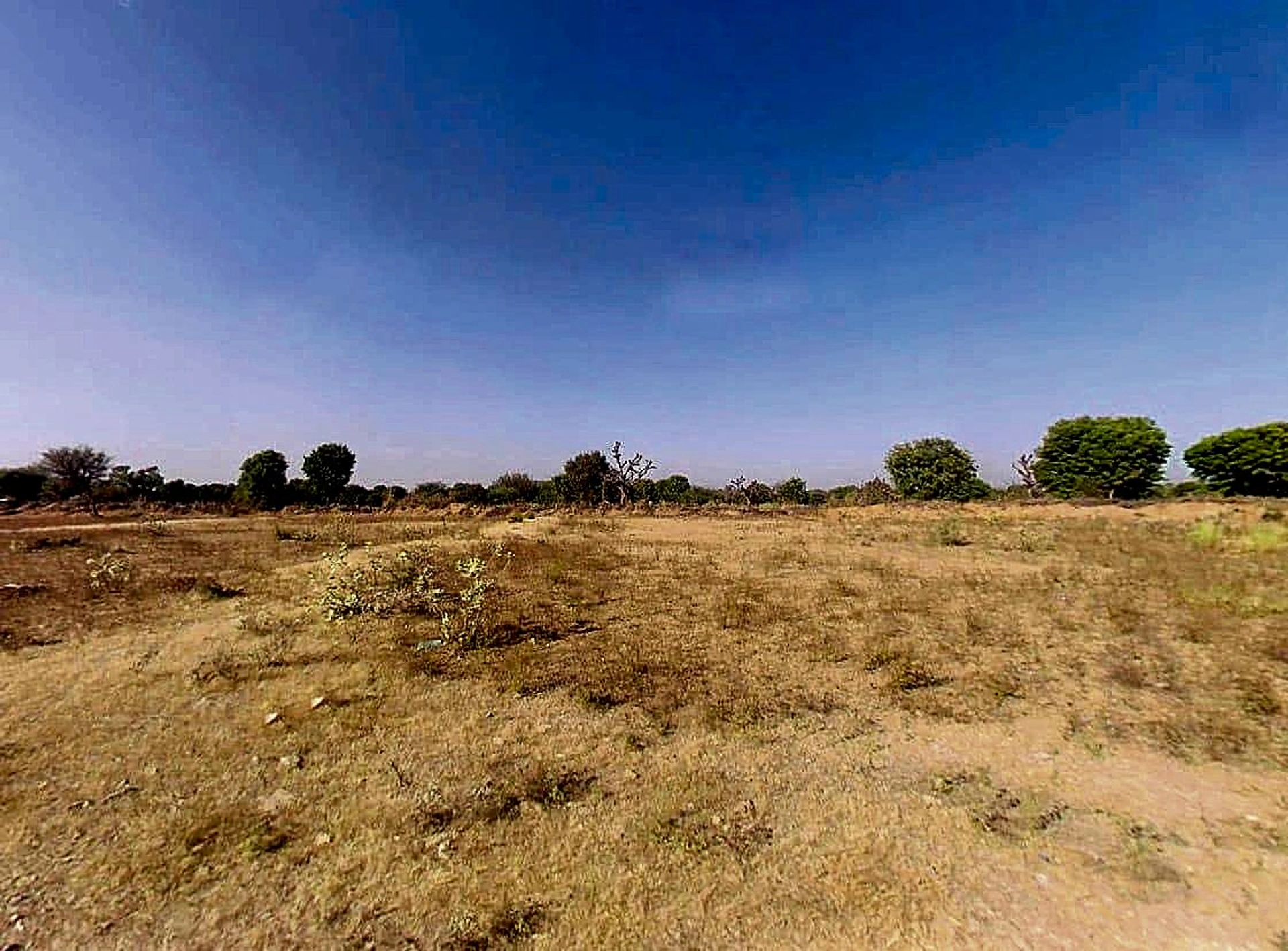 WC29+9JH, Asalpur, Rajasthan 303328, India