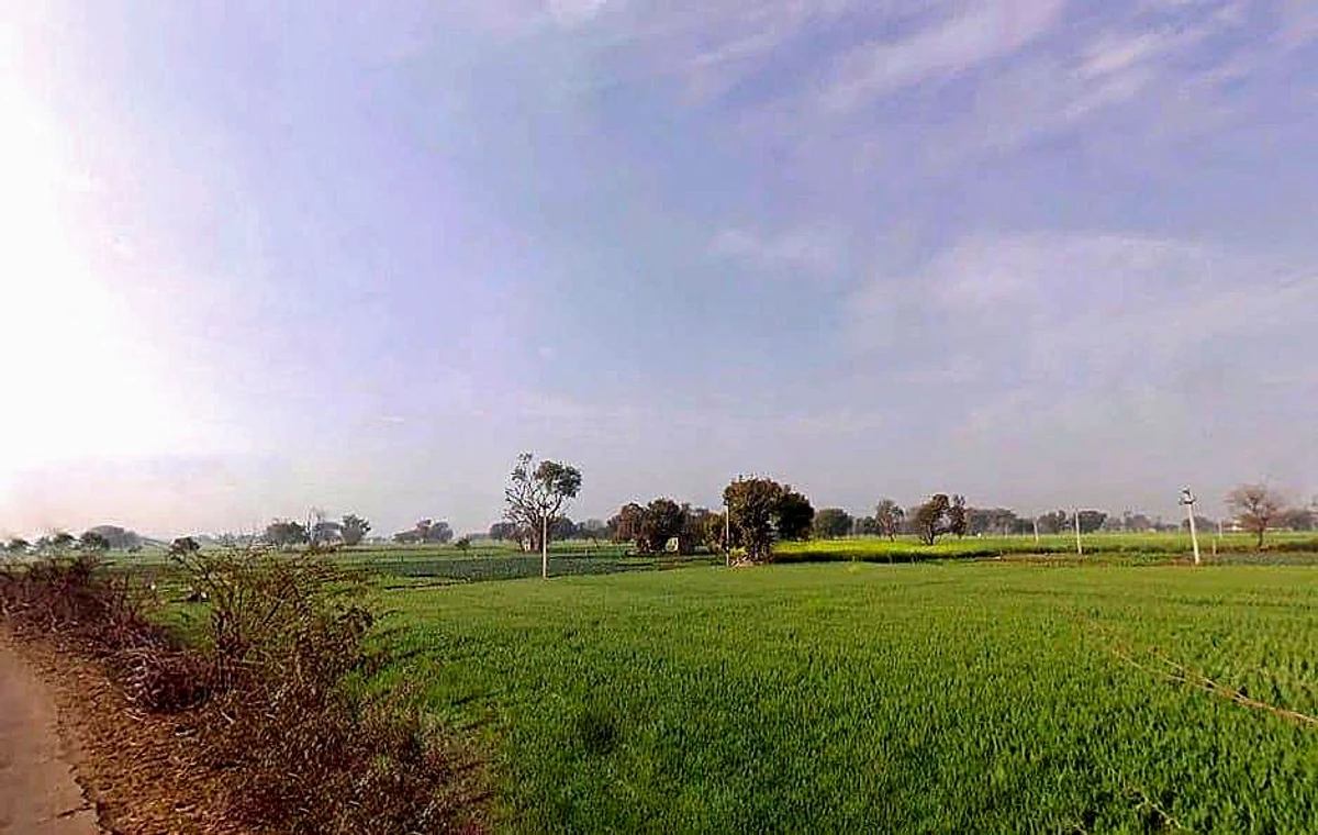 Hadarhera, Rajasthan 301021, India