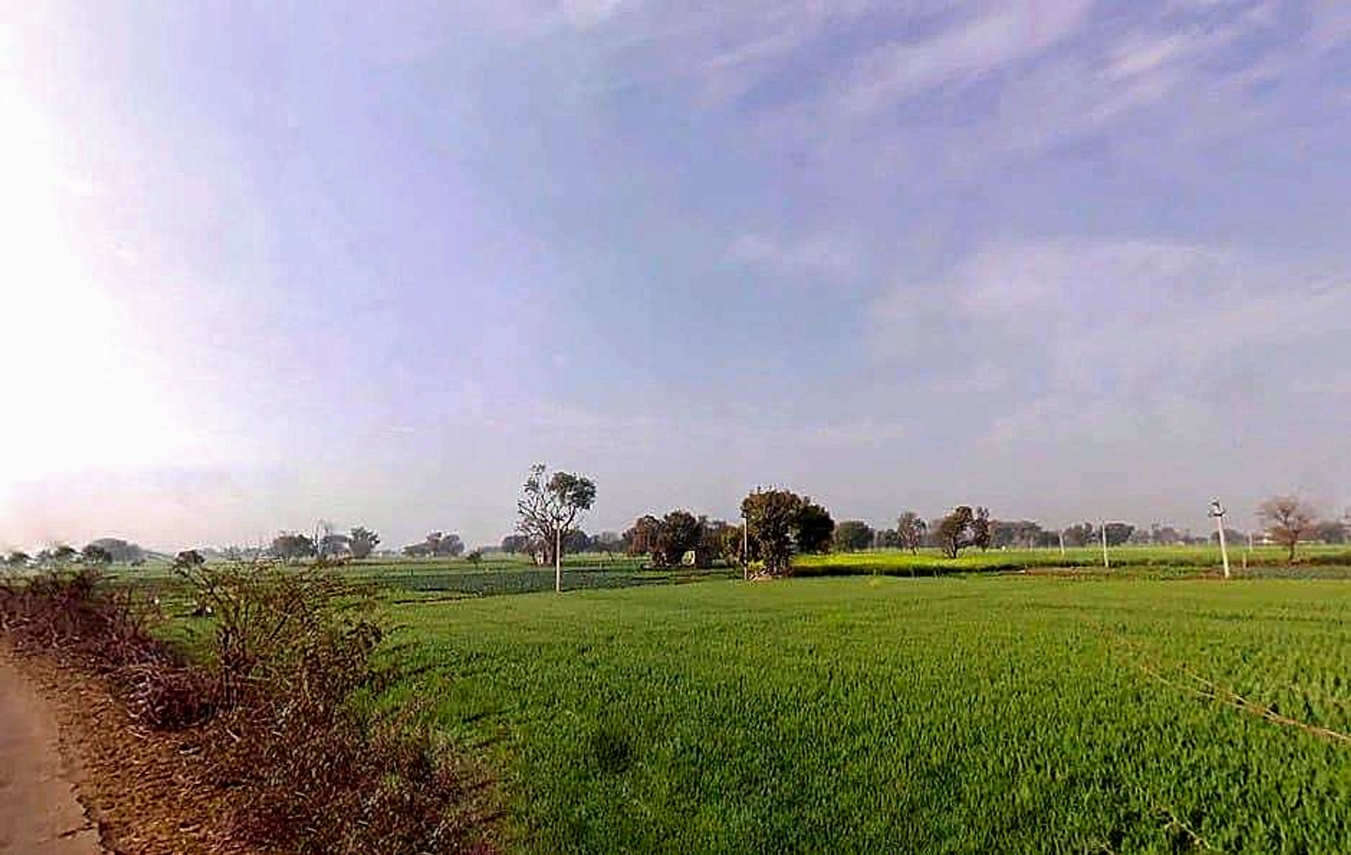 Hadarhera, Rajasthan 301021, India