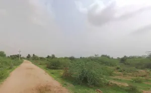 Posalia, Rajasthan 307028, India preview 2
