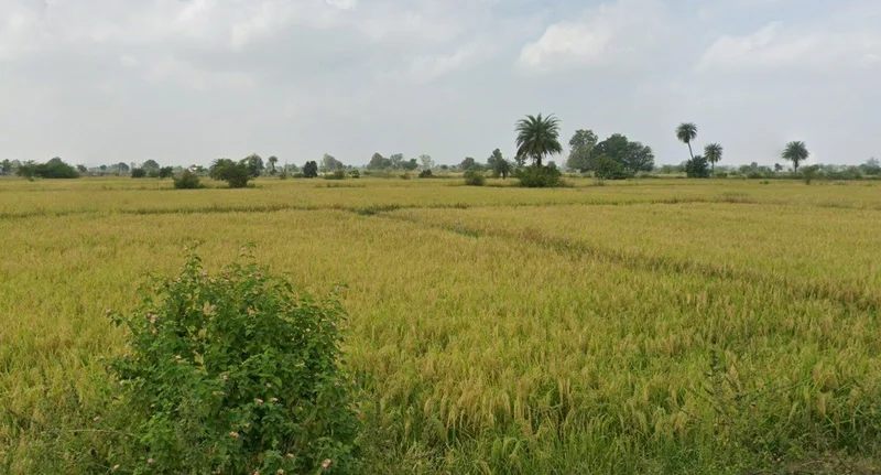 DewanGanj, Madhya Pradesh 464651, India preview 3