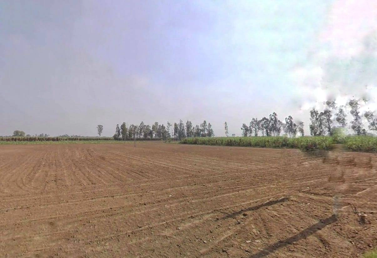 Mawana, Uttar Pradesh, India