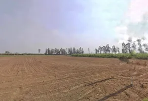 Mawana, Uttar Pradesh, India preview 3
