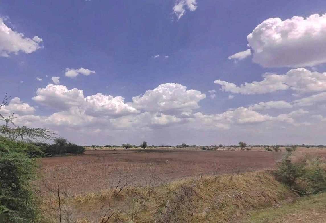 P372+8G Raghunthpura, Rajasthan, India