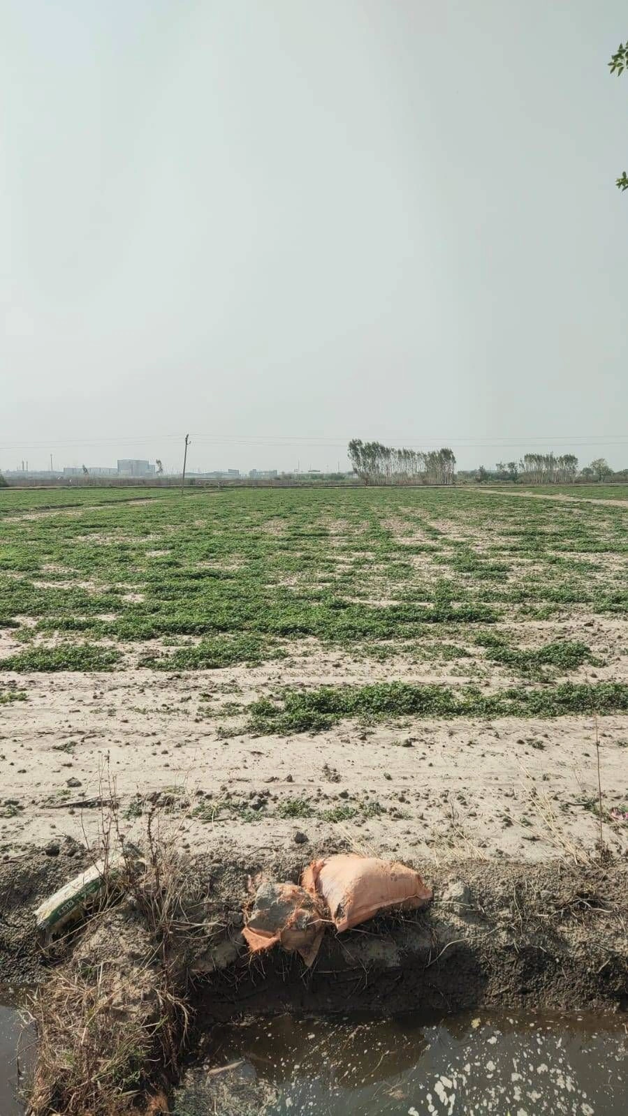Ajijpur, Uttar Pradesh, India preview 2