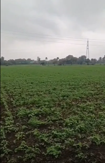 Berasia, Bhopal, Madhya Pradesh 463106, India preview 2
