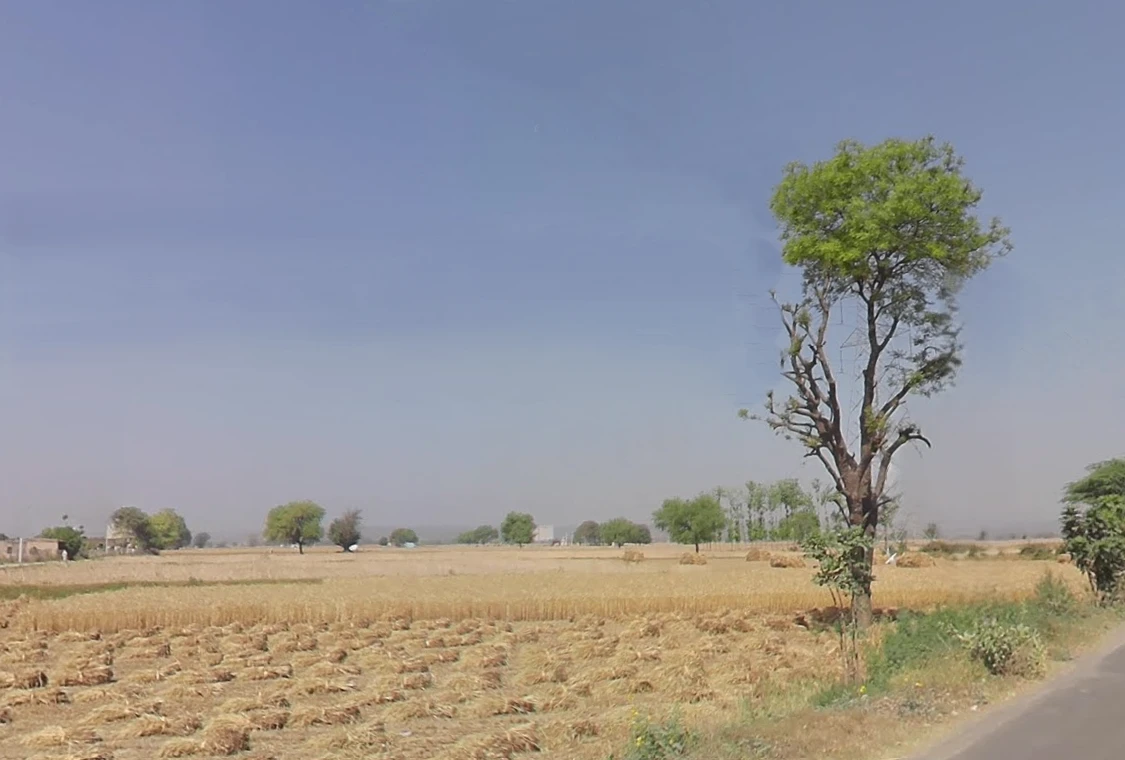 Damdama Lake, Haryana 122102