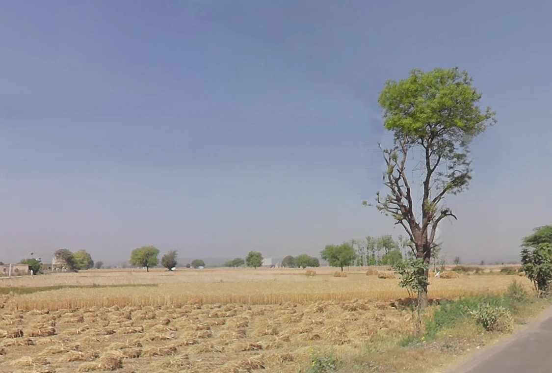 Damdama Lake, Haryana 122102