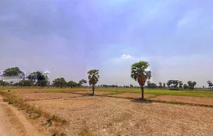 Bihta Rd, Bihar 801103, India preview 2