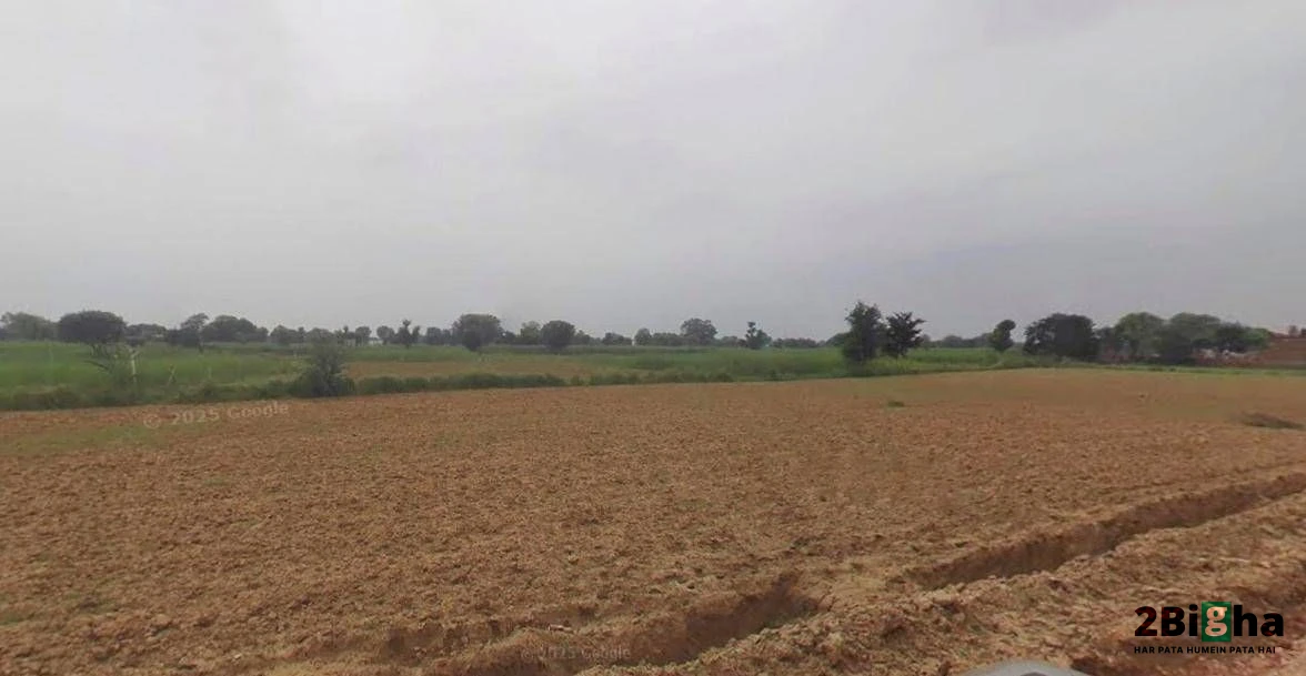 Kothi, Madhya Pradesh 485666, India