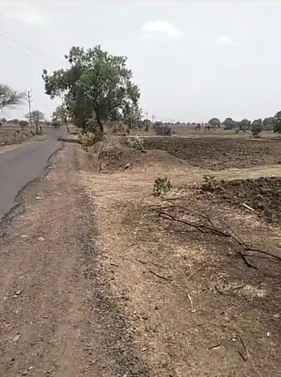 5T, Jawahar Nagar, Adampur, Haryana 125052, India preview 2