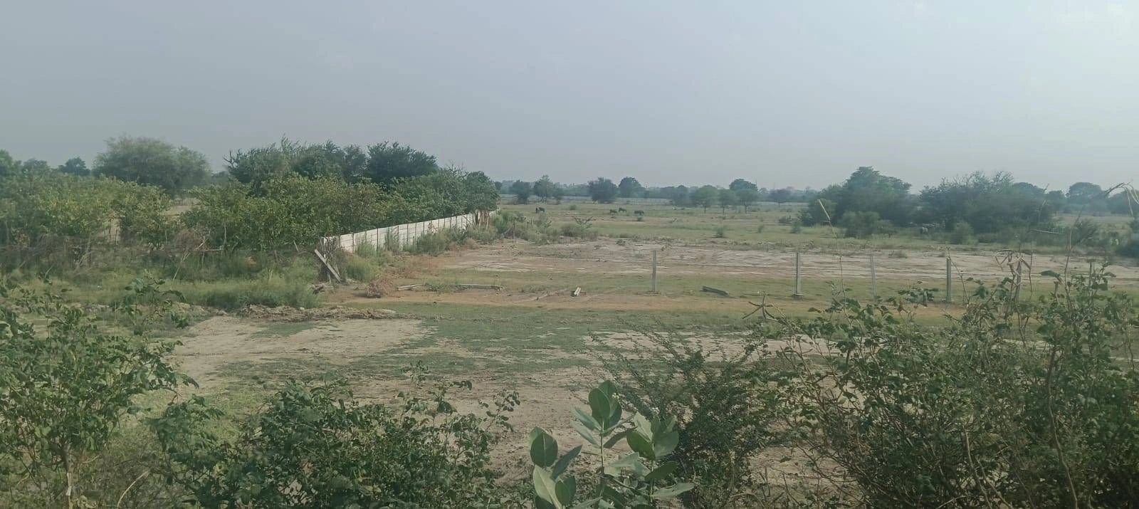 Shahpura, Rajasthan 303103, India preview 2