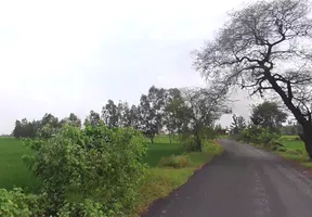 Bilaspur, Uttar Pradesh 244921, India preview 3