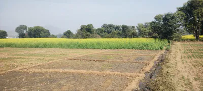 8HPW+76, Shivpuri, Bilo Kalan, Madhya Pradesh 473551, India preview 3