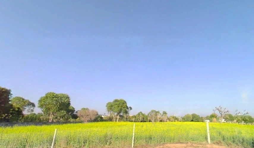 Kukas, Rajasthan, India