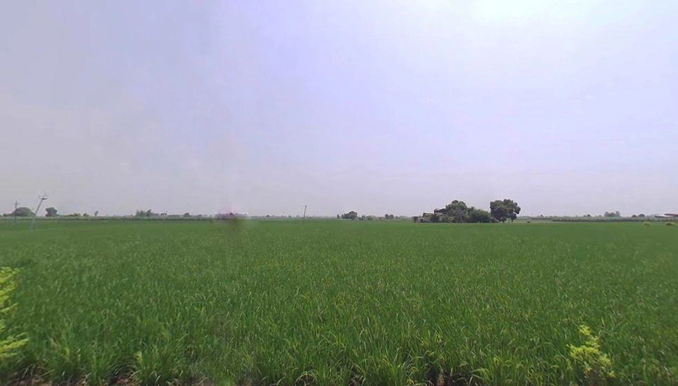 Shahbad, Haryana 136135, India