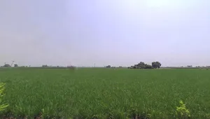 Shahbad, Haryana 136135, India preview 3