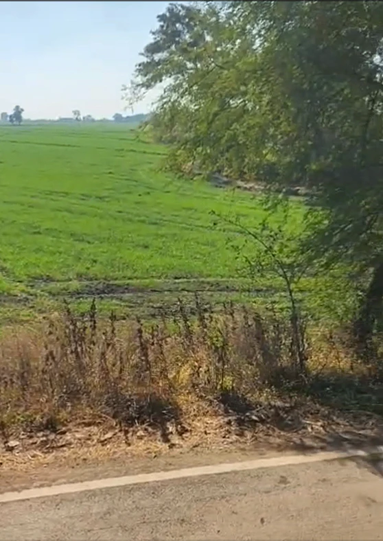 Dhan Khedi, Indore, Madhya Pradesh 453771, India
