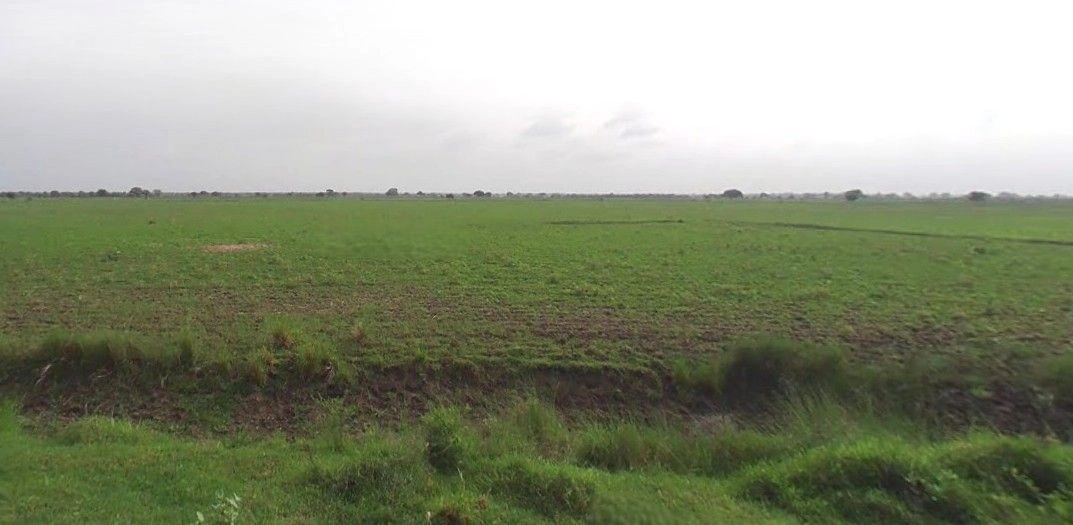 Thakurdwara, Uttar Pradesh 244601, India