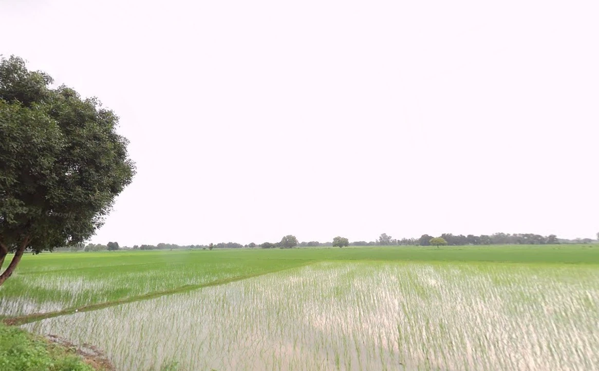 Jaithal, Madhya Pradesh 456006, India