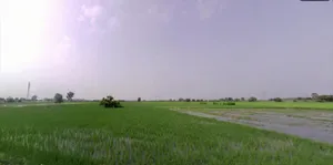 Arpana Trust, Madhuban, Karnal, Madhuban, Haryana 132037, India preview 3