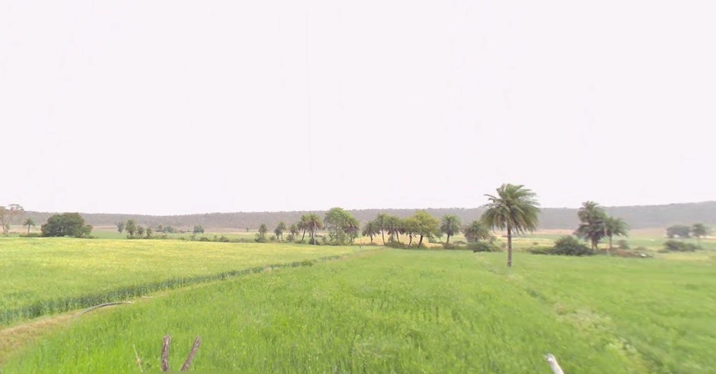 Hinotiya, Madhya Pradesh 464226, India