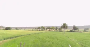 Hinotiya, Madhya Pradesh 464226, India preview 2