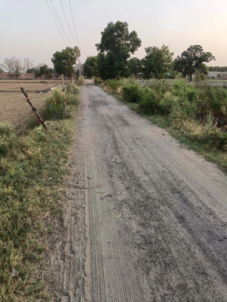 Chandauri, Uttar Pradesh, India