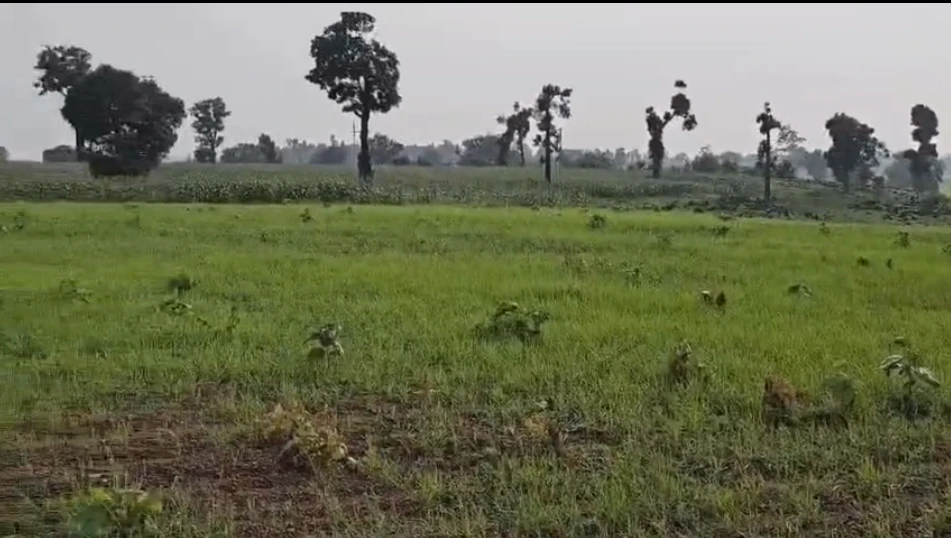 Ajaigarh, Panna, Madhya Pradesh 488220, India