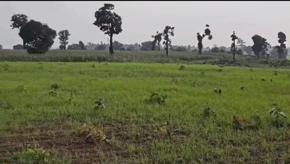 Ajaigarh, Panna, Madhya Pradesh 488220, India - Photo 3