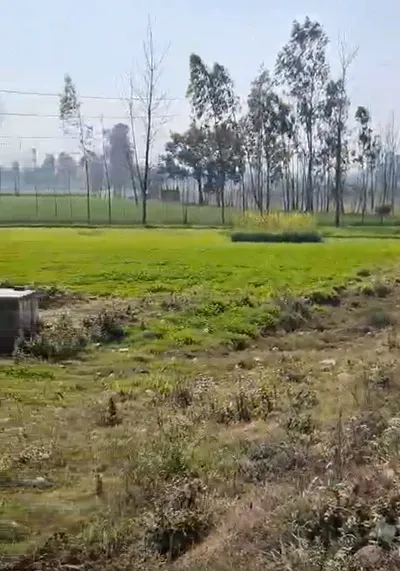 Kolki, Saharanpur, Uttar Pradesh, India preview 2