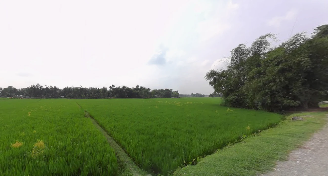 Jalpaiguri, West Bengal 735101, India
