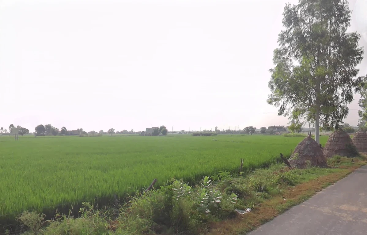 Pehowa, Haryana 136128, India preview 3