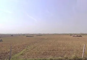 3VCF+VG Ghas, Rajasthan, India preview 2