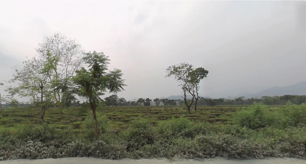 Bantala, Odisha 759129, India preview 3