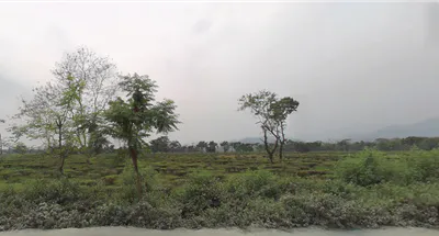 Bantala, Odisha 759129, India preview 3