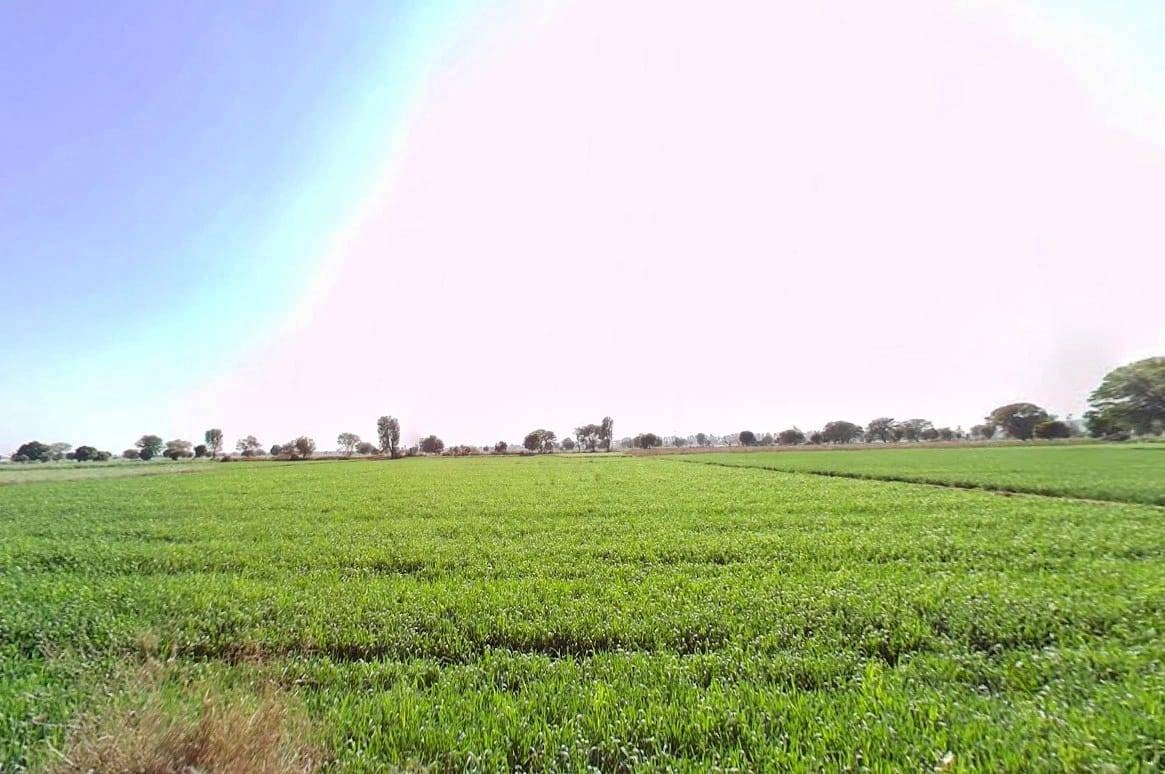 FJJF+W3 Dadar, Rajasthan, India