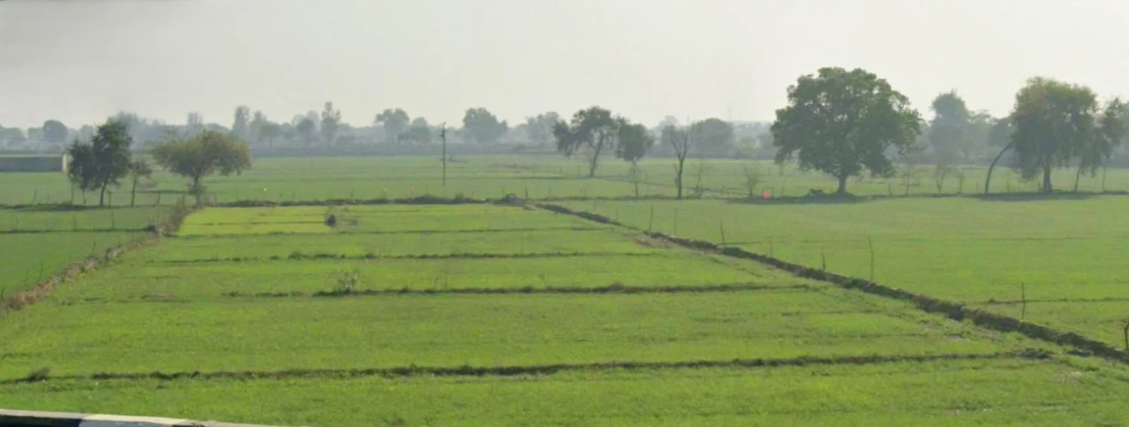 Kothdi Bahlolpur, Uttar Pradesh 247129, India