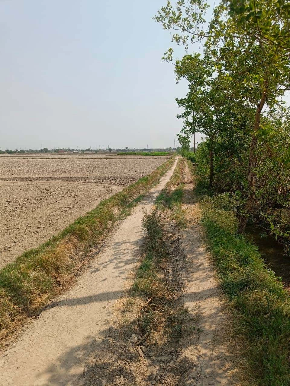 Sahar, Uttar Pradesh, India