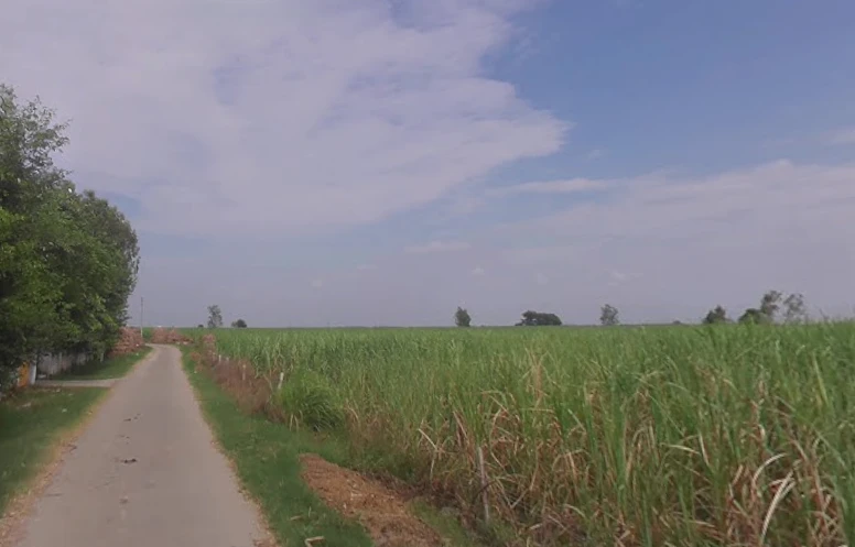 Bhaina Sadarpur, Uttar Pradesh, India