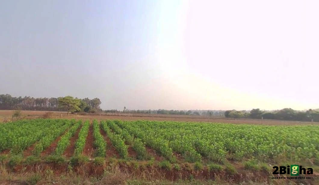 NH-8, Mahapura Rd, Bhakrota, Jaipur, Hasampura, Rajasthan 302026, India
