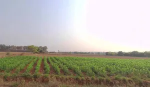 NH-8, Mahapura Rd, Bhakrota, Jaipur, Hasampura, Rajasthan 302026, India preview 3