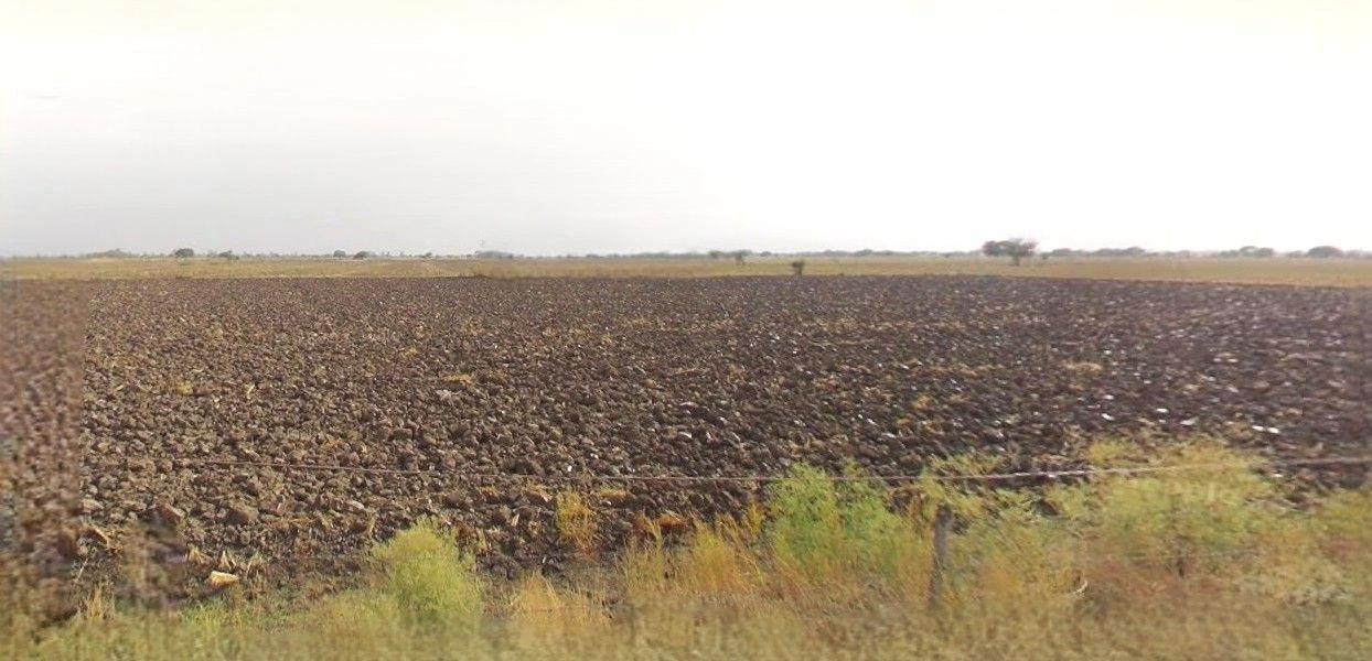 Sher Mau, Uttar Pradesh, India